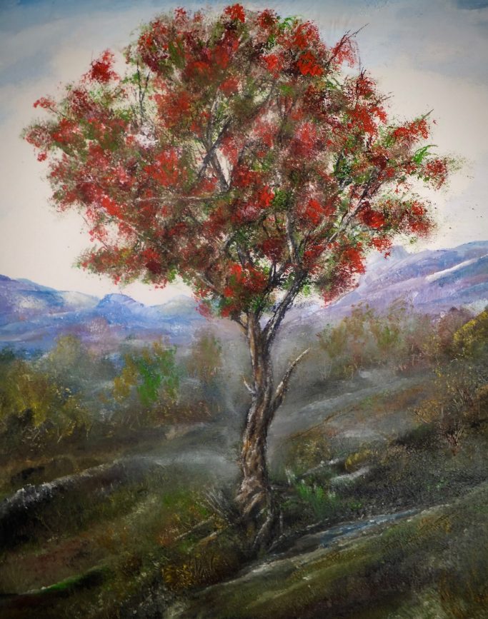 Rowan tree with red berries
